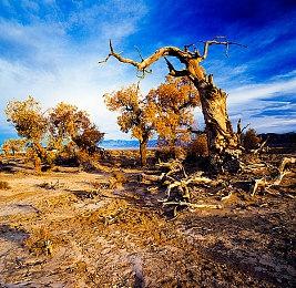 《采石场惊魂》在万圣节前宣布 50年代复古角色服装