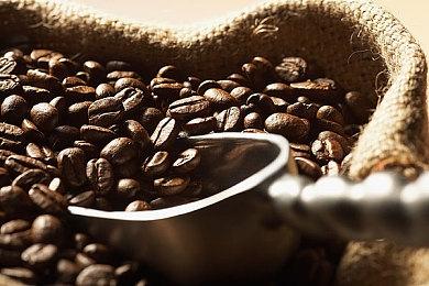 《往日不再》总监谈被取消项目：大家需要一些同理心