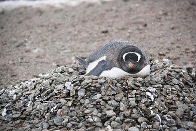 游戏开发者分享Valve关于应对网暴的建议：最好忍一下